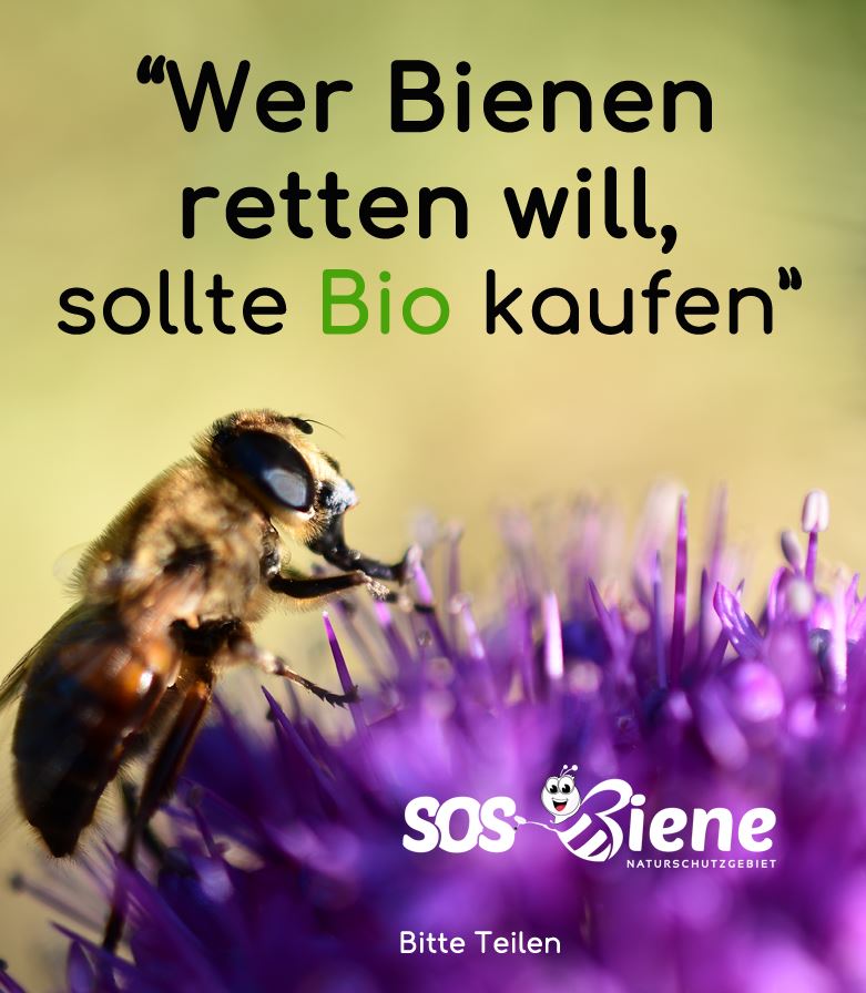 Wer Bienen retten will sollte Bio kaufen